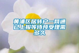 黄浦区居转户一网通已上报等待预受理需多久