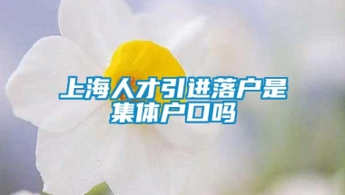 上海人才引进落户是集体户口吗