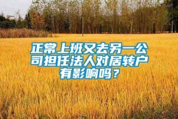 正常上班又去另一公司担任法人对居转户有影响吗？