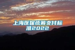 上海医保统筹支付标准2022