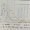 留学生毕业在即，到底要不要回国？