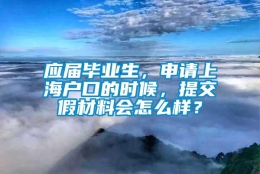 应届毕业生，申请上海户口的时候，提交假材料会怎么样？