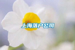 上海落户公司