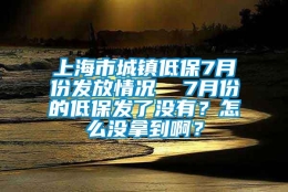 上海市城镇低保7月份发放情况  7月份的低保发了没有？怎么没拿到啊？