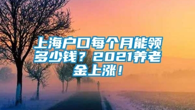 上海户口每个月能领多少钱？2021养老金上涨！