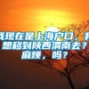 我现在是上海户口，我想移到陕西渭南去？麻烦，吗？