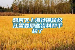 想问下上海社保转松江需要那些资料和手续了