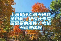 上海护理专科考研非全日制，护理大专考研需要的条件？考试考那些课程