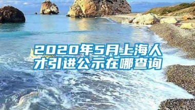 2020年5月上海人才引进公示在哪查询