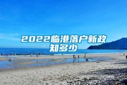 2022临港落户新政知多少