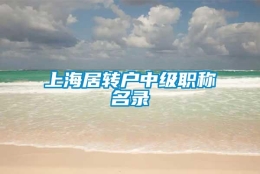 上海居转户中级职称名录