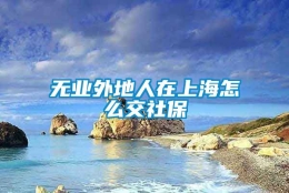 无业外地人在上海怎么交社保