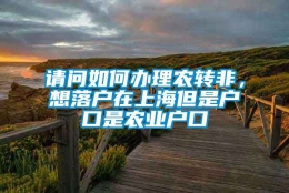 请问如何办理农转非，想落户在上海但是户口是农业户口