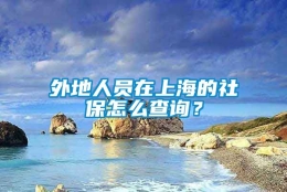 外地人员在上海的社保怎么查询？