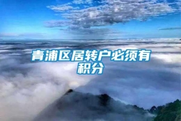 青浦区居转户必须有积分