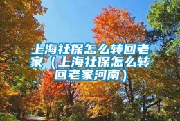 上海社保怎么转回老家（上海社保怎么转回老家河南）