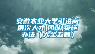 安徽农业大学引进高层次人才(团队)实施办法（大全五篇）