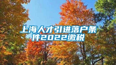 上海人才引进落户条件2022缴税