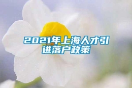 2021年上海人才引进落户政策