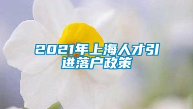 2021年上海人才引进落户政策