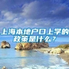 上海本地户口上学的政策是什么？