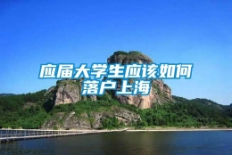 应届大学生应该如何落户上海