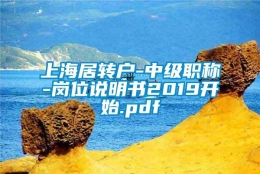 上海居转户-中级职称-岗位说明书2019开始.pdf