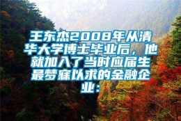 王东杰2008年从清华大学博士毕业后，他就加入了当时应届生最梦寐以求的金融企业：