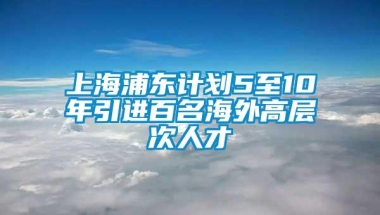 上海浦东计划5至10年引进百名海外高层次人才