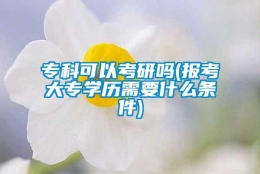 专科可以考研吗(报考大专学历需要什么条件)