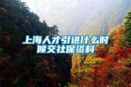 上海人才引进什么时候交社保资料