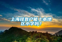 上海挂靠户能上本地区小学吗？