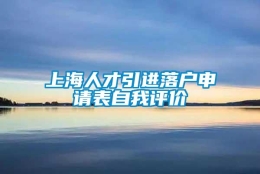 上海人才引进落户申请表自我评价