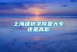 上海建桥学院是大专还是高职