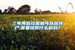 三年两倍社保就可以居转户,需要提供什么材料？