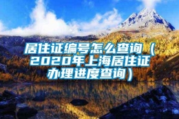 居住证编号怎么查询（2020年上海居住证办理进度查询）