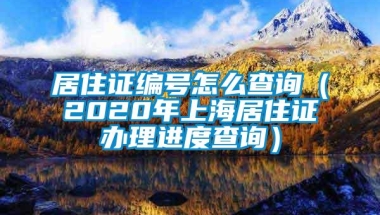 居住证编号怎么查询（2020年上海居住证办理进度查询）