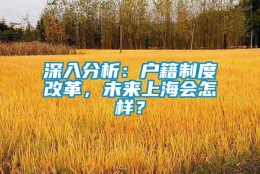 深入分析：户籍制度改革，未来上海会怎样？