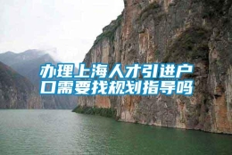 办理上海人才引进户口需要找规划指导吗