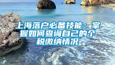 上海落户必备技能：掌握如何查询自己的个税缴纳情况