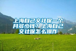 上海自己交社保一个月多少钱？上海自己交社保怎么操作