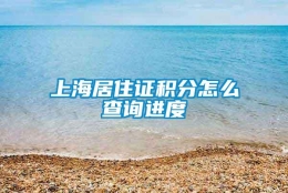 上海居住证积分怎么查询进度