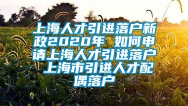 上海人才引进落户新政2020年 如何申请上海人才引进落户 上海市引进人才配偶落户