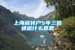 上海居转户5年三倍通道什么意思