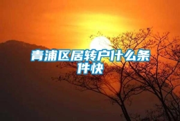 青浦区居转户什么条件快