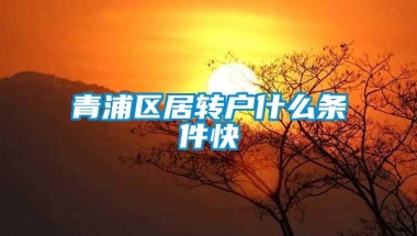 青浦区居转户什么条件快