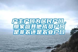 户主户口为居民户口，那家庭其他成员户口是非农还是农业户口