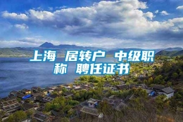 上海 居转户 中级职称 聘任证书