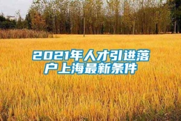 2021年人才引进落户上海最新条件