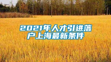 2021年人才引进落户上海最新条件